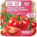 KVITER 325 Giant Beefsteak Tomatoes Seeds (Solanum lycopersicum) – Beef Steak Tomato Seed Packets Heirloom Tomatoes – Non GMO Slicing Tomato Vegetable Seeds for Planting Home Garden, Indoor & Outdoor