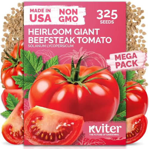 KVITER 325 Giant Beefsteak Tomatoes Seeds (Solanum lycopersicum) Beef Steak Tomato Seed Packets Heirloom Tomatoes Non GMO Slicing Tomato Vegetable Seeds for Planting Home Garden Indoor & Outdoor