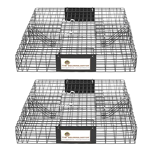 Rugged Ranch 2Pack Squirrelinator MultiCatch Squirrel Trap with Basin Wire Cage 25x15x6.5 Each - Live CatchandRelease 2Door Humane Rodent Control NoPoison Outdoor Use