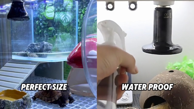 150W Reptile Heat Lamp(2 Packs)-Ceramic Heat Emitter for Reptiles Amphibian Pet Brooders Chicken Incubation, and Terrariums Turtle Lizard Bearded Dragon Snake Size E26 - image 7