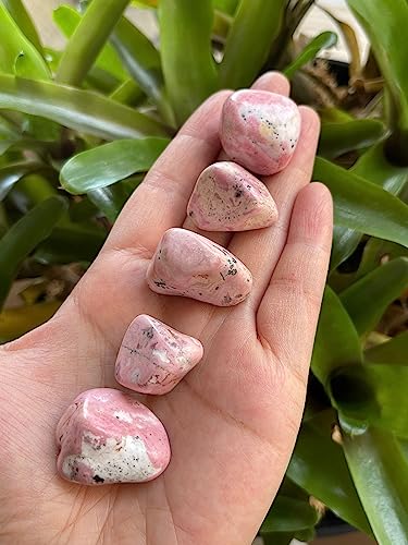 Image of GAF TREASURES 1 /2 LB Rhodonite Tumbled Stones, Polished Rhodonite Gemstone, Rhodonite Healing Crystals (Rhodonite)
