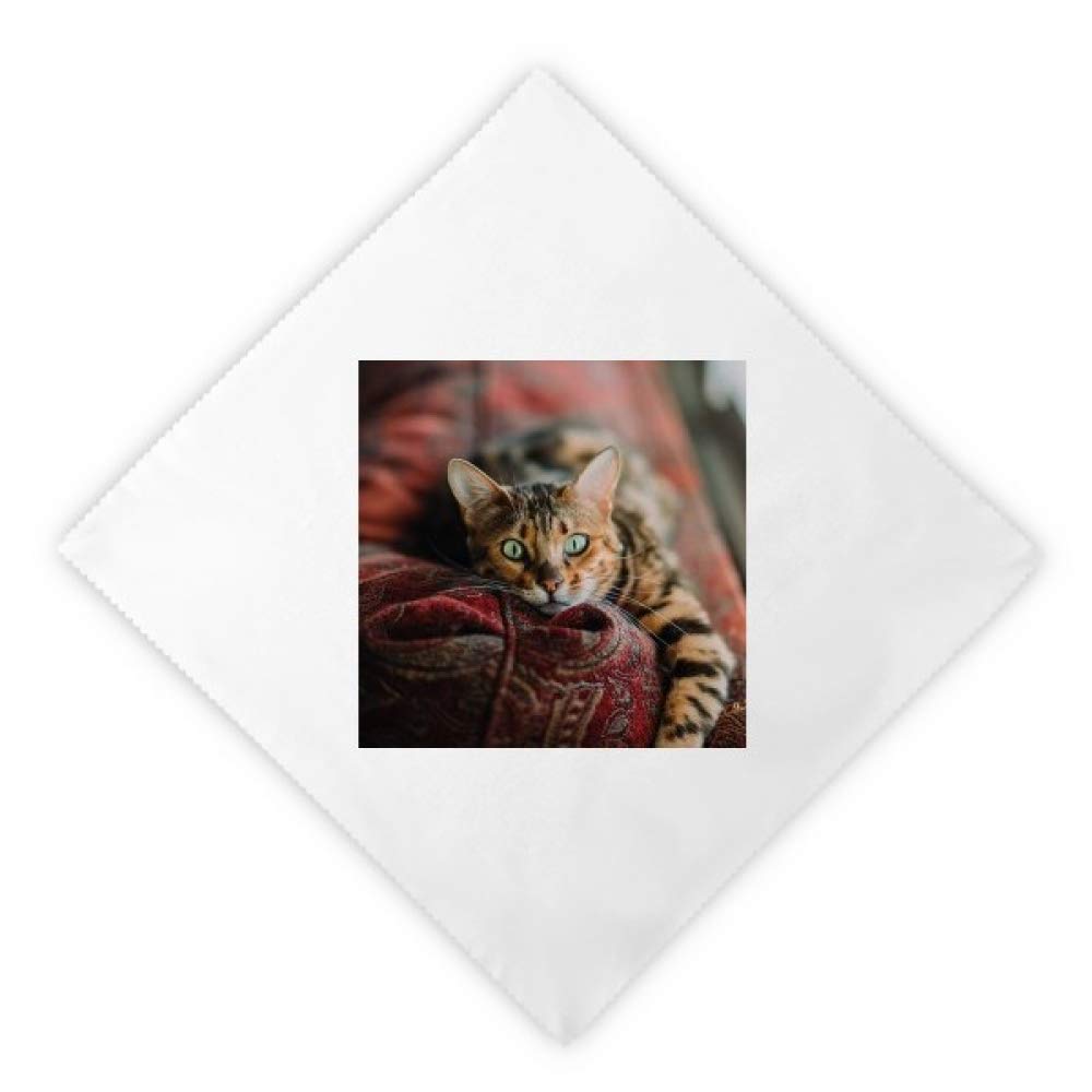 Serviettes en tissu œil de chat vert 2pcs 47x47 cm serviettes de table multicolores