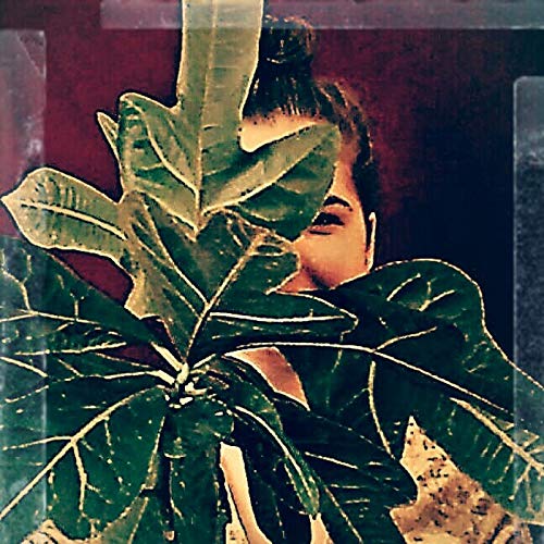 Die Philosophie des Alltags cover art