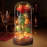 schreibtisch glasplatte metall 🌹 LED Rosenlicht: Schalten sie einfach den schalter ein, das sanfte warmweiße licht leuchtet auf und schafft eine warme und komfortable atmosphäre für den raum oder den esstisch; Das led licht muss manuell um die ewige rose gewickelt werden, um das geschenk wertvoller zu machen.
