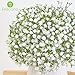 Alecono Babys Breath Artificial Flowers ?????, White Artificial Babys Breath Bulk for DIY Floral Bouquets for Wedding, Fake Babys Breath Real Touch Flowers for Home Decorations