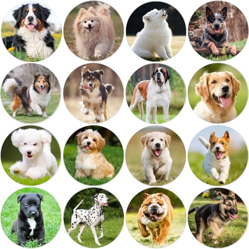 Hohamn 600Pcs Dog Stickers Teachers 1.5 Inch 16 Styles Dog