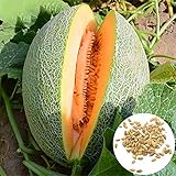 🍎 Este tipo de semillas de melón son fáciles de manejar, y tienen alta tasa de germinación, la producción de melones rápidamente.