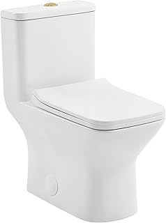 Charme One Piece Square Toilet Dual Flush, Brushed Gold Hardware 1.1/1.6 gpf