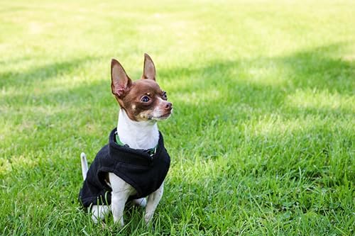JACKO & CO Fleece-Weste mit Ring für die Leine, weich, leicht, atmungsaktiv, für Welpen, kleine bis mittelgroße Hunde, Kätzchen, Katzen, warm für Frühling, Herbst, (Schwarz, Größe L, 4,5-7,3 kg)