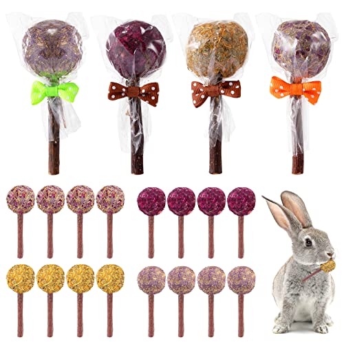 16 Pcs Rabbit Lollipop Chew Toys - Natural Flower Flavored Timothy Hay Sticks in 4 Types Timothy Hay Chew Treats Apple Wood Molar Toys for Bunnies Hamsters Guinea Pigs Chinchillas Squirrels Tooth Care
