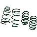 TEIN SKQ30-AUB00 - TEIN STECH Lowering Springs