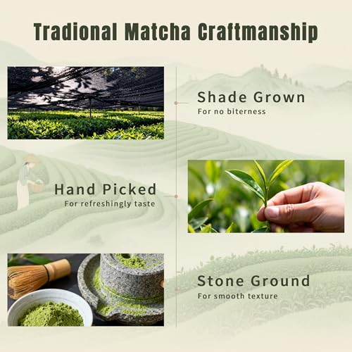 Té Matcha Ceremonial Orgánico en polvo miniatura 5