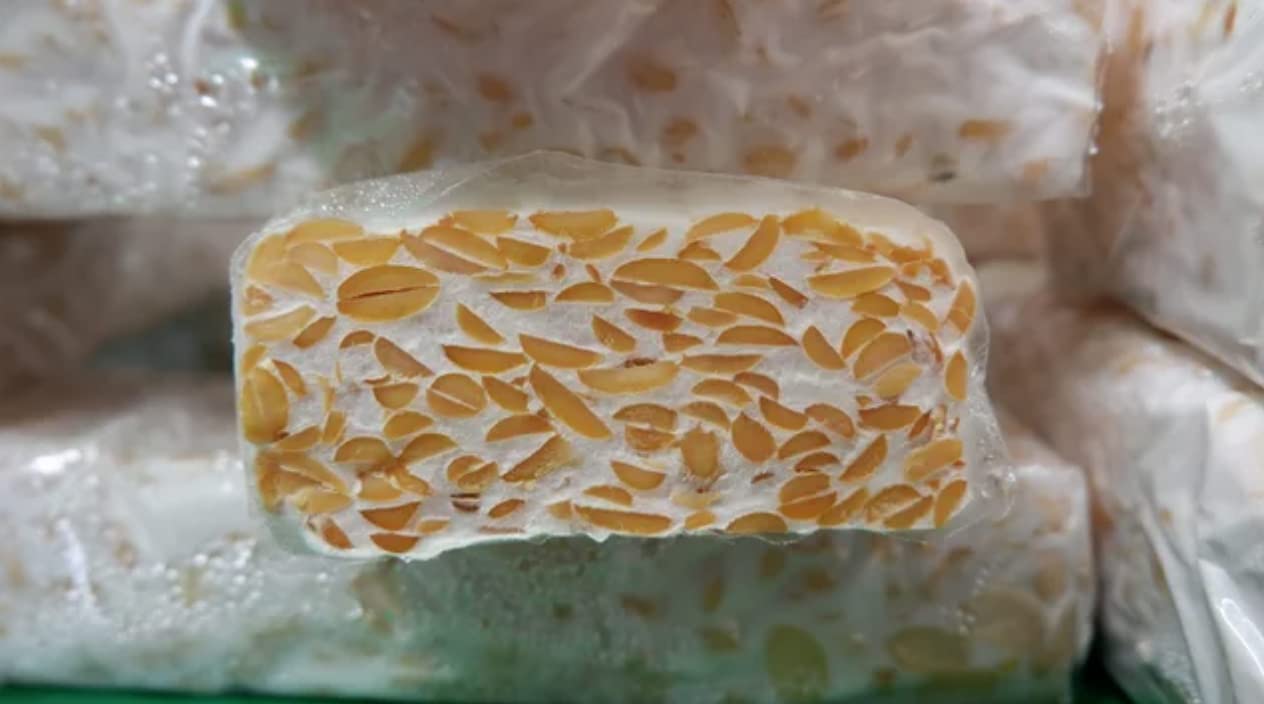 Tempeh Kit de démarrage avec 1 kg de soja pelé (Culture Rhizopus Oligosporus) – Jusqu'à 75 kg de Tempeh à fabriquer soi-même