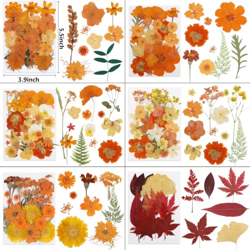 Image of NESCCI 350 Pcs Orange Fall Dried Flowers for Crafts,Real Nature Dried Flowers for Craft Bulk Dry Flowers Leaves Kit Used for Resin Molds Scrapbooking DIY Art Crafts Candle Soap Making Nails Decor