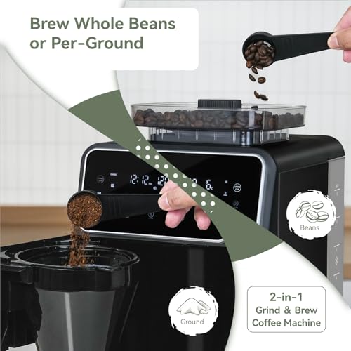 Gevi Grind & Brew 10 Cup