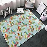 Diseño práctico: para mayor comodidad de envío, la alfombra de hoja de palma de loro pastel para dormitorio está plegada y empaquetada al vacío, lo que puede causar algunas arrugas temporales. Simplemente coloca la alfombra plana durante un período de tiempo para eliminar las arrugas. Ideal para aquellos que buscan alfombras grandes para la sala de estar o alfombras versátiles para el dormitorio