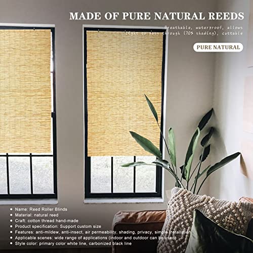 Outdoor Reed Roller Blinds, Patio Reed Blinds, Roman Roller Blinds, Porch Blackout Roller Blinds, Vintage Reed Blinds With Lift, Reed Roller Blind Privacy Protection, Easy Installation,23X55In（Wxh #TOP1
