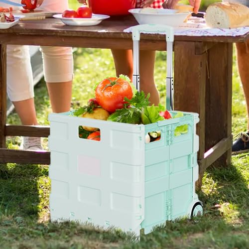 Carrito portátil para compras y aeropuerto que evita dolores de espalda 4