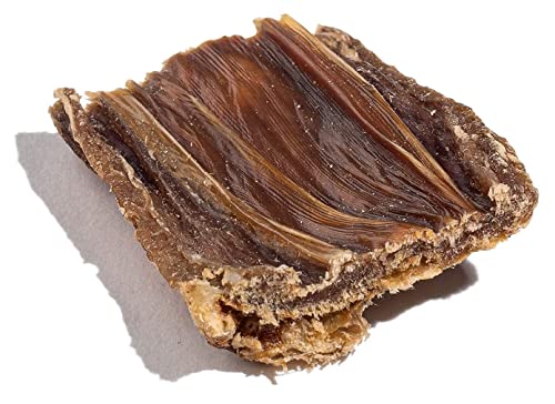 Jack&Pup Premium Dog Chews Bites, Healthy Dog Treats For Medium Dogs - All Natural Dog Treats Small Dogs, Single Ingredient Dog Treat For Puppies - Bully Sticks | Gullet Jerky (Gullet Bites - 2Lb) #TOP7