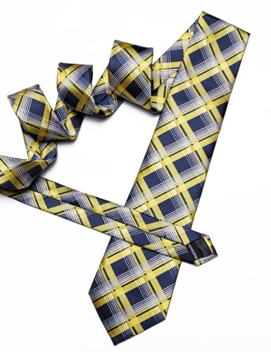 Image of Barry.Wang Plaid Ties Mens Silk Necktie and Tie Clip Checkered Tie for Wedding Party Business Formal