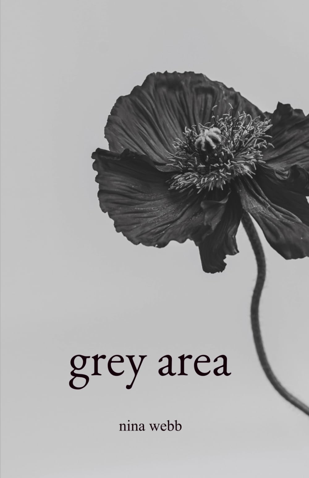 grey area