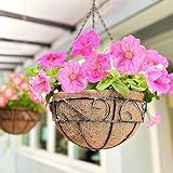 LaLaGreen Hanging Planter for Outdoor Plants (12 Inch, 2 Pack) Hanging Baskets with Coco Liner, Black Metal Wire Flower Basket Pots with Hook Hanger Balcony Porch Farmhouse Country Style Garden Decor