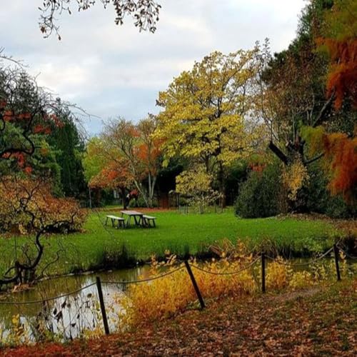 Time is near Not about religion or politics the answer is here