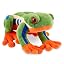 Tree Frog