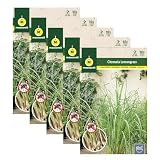 Pack de 5 sobres de semillas. DECOALIVE  Semillas de Citronela  Pack 5 Sobres  Semillas Lemon Grass