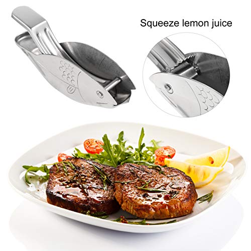 DOITOOL Servidor De Condimento De Molho De Molho De A?o Inoxidável Servindo Jarro Jarro de Filé de P