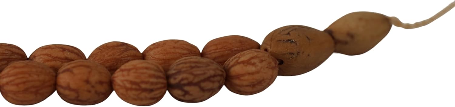 Handmade Genuine Olive Seed 99 Beads Tasbeeh Small Size Rosary Misbaha Islamic Gift Tasbih Prayer Beads Tesbih 0.24x0.30 inches Dhikr - Image 9