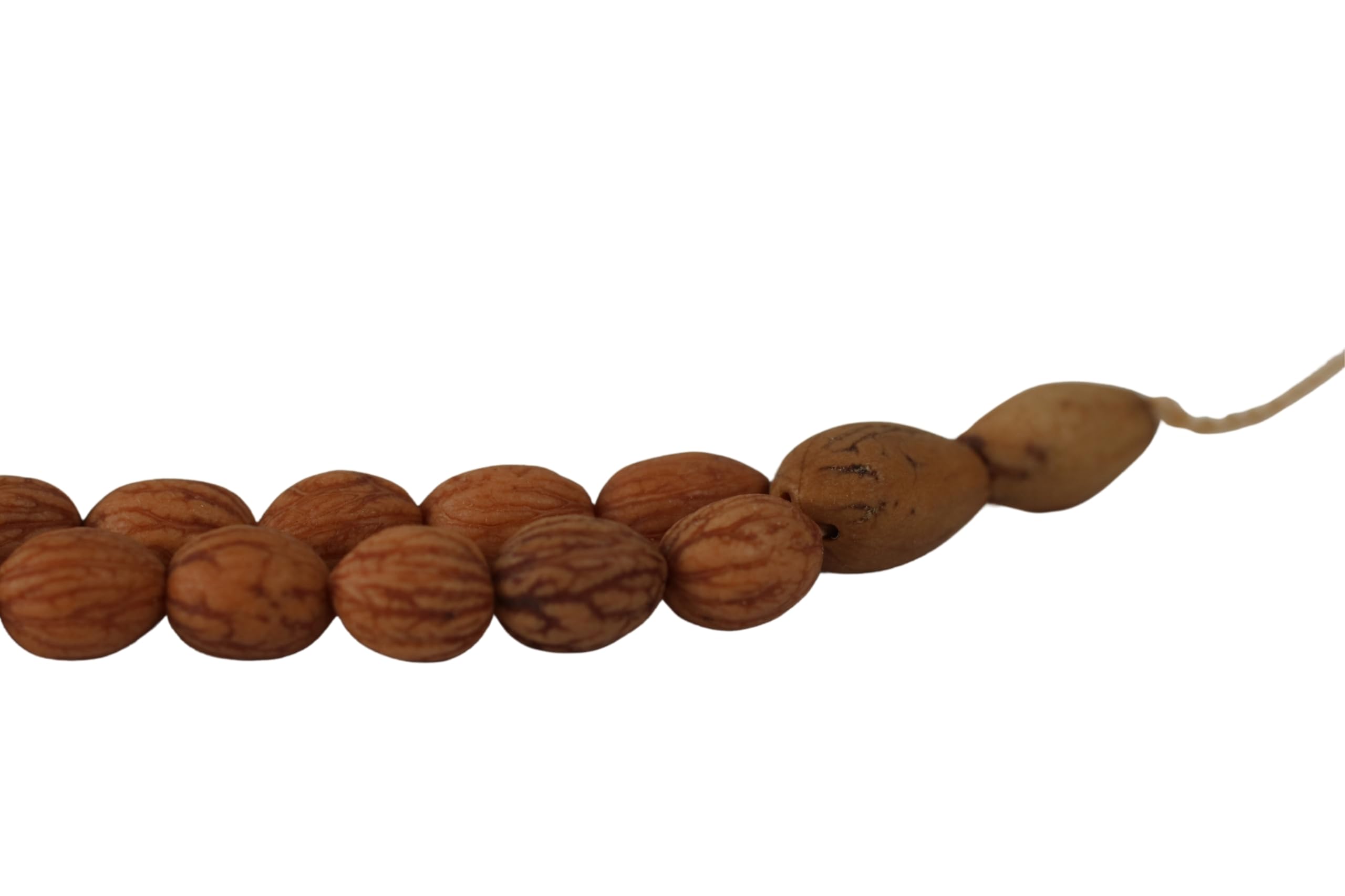 Chapelet fait à la main en véritable graines d'olivier Tasbeeh - Petit chapelet Misbaha - Cadeau islamique Tasbih - 6x8 mm