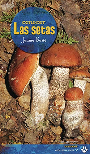 Conocer las setas (Spanish Edition)