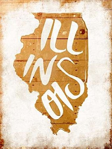 Wood Illinois Poster Print by Jace Grey (18 x 24)