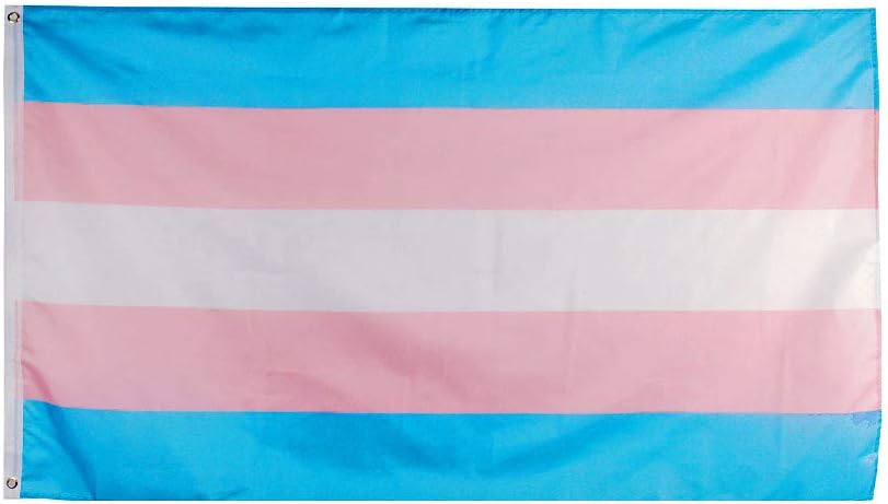 Flaglink Transgender Pride Flag 3x5 Fts - Trans Rainbow Banner