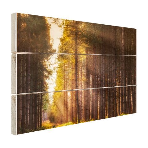  Stampa su Legno - Raggi di Sole Lungo Alberi ad Alto Fusto 60x40 cm - Foto su Legno - Decorazion Murali