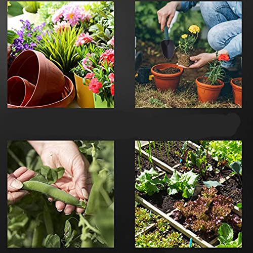 HASTHIP® 10Pcs Gardening Tools Kit with Carrying Case for Garden Home Patio, Stainless Steel Garden Tools Set, Durable Gardening Equipment, Garden Accessories