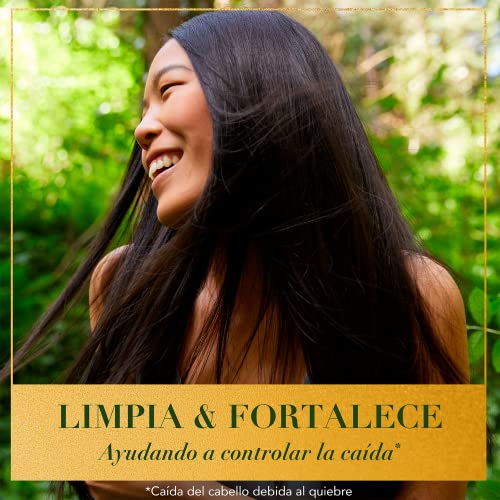 Vitamínicos, Imagen adicional