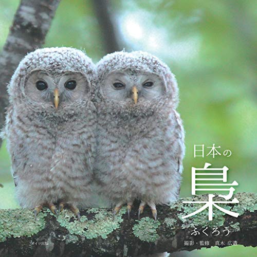 フクロウについて書かれた本を読みました パカチャン フクロウ 検討中 げんさん 黒須みゆき もふもふフクロウ ガルーさんの休日 真木広造 日本の梟 唐桃の読んだもの