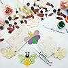 Tinsparkwin, 30 Pcs Wooden Bee Decor Unfinished Wood Crafts for Party DIY Ornaments and Paintable Supplies (Bee) #2