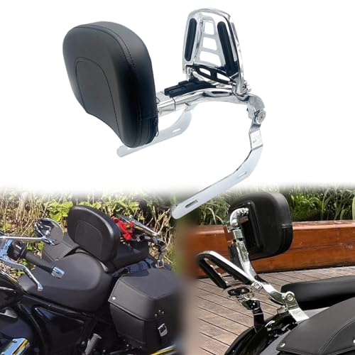 Barre sissy haut de gamme pour BMW R18 avec dossier passager et grille