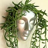 Bossa Linda Face Wall Planter | 7 Colors Avail | Unique Plant Lover Gifts for Indoor Wall Decor |...