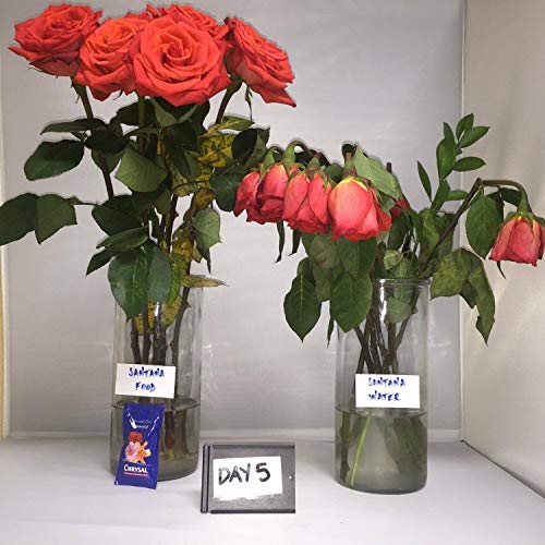 Chrysal Clear Flower Food Packets 5g/0.5 L - 100 unidades miniatura 6
