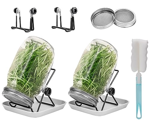 Lulonpon 2pcs Sprouts Growing Jar Kit, Wide Mouth Quart Mason Jars with Stainless Steel Screen Sprout Lids, 86mm,1000ml,Stand,Tray and Canning Brush,Seed Sprouter Set for Broccoli, Alfalfa, Mung Bean