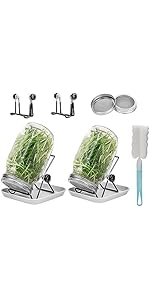 Amazon.com : Lulonpon Sprouting Kit, 2 Sprouting Jar Kits, Wide Mouth ...
