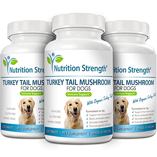 Nutrition Strength Turkey Tail Mushroom For Dogs To Support A Strong Immune System, Promote Gut Health, Antioxidant Activity & Inflammatory Relief, Reduce Fatigue & Boost Stamina, 120 Chewable Tablets #TOP4