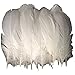 Produktbild ERGEOB® Echte große Gänsefedern in Weiß / 15-22cm Federnlänge, 100 Stück pro Verpackung, 21 Farbvarianten, Fasching, Karneval, Basteln, Dekoration, Hochzeit.