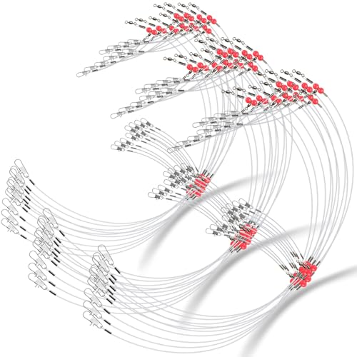 Sonwyoung 30 Pcs Fishing Leaders Stainless Steel Saltwater Tackle Rig with Swivels Snap High Strength Fishing Wire Gear Equipment for Saltwater, 2 arm