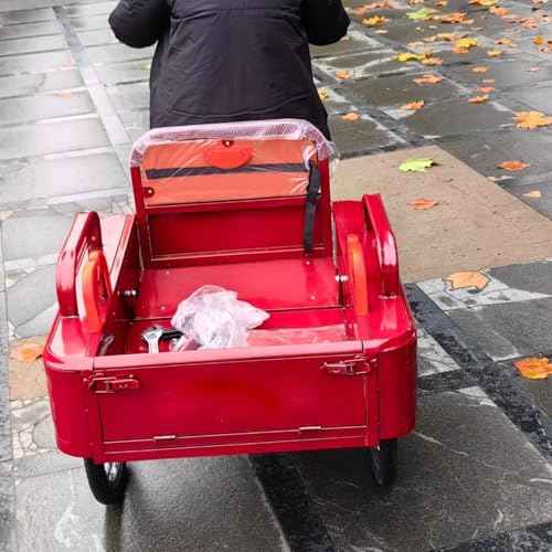 Triciclo Paseo para Adultos con Cabin, 20 in miniatura 5