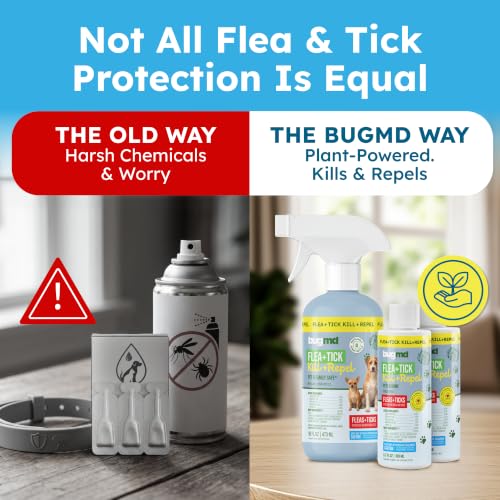 Image of BugMD Flea and Tick Spray for Dogs - Kills & Repels on Contact | Plant-Powered Treatment for Home, Furniture and Carpet - Makes 32 oz | Starter Kit